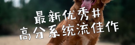 最新優秀#高分系統流佳作